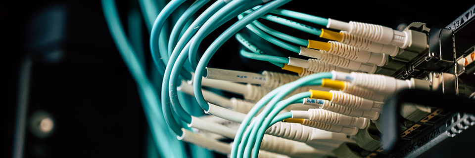 Switch im Rechenzentrum